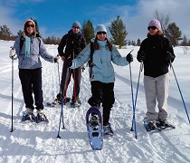 Snowshoeing  holidays