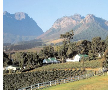 Franschoek vineyards