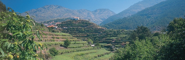 Discover Headwater's Walking holiday in Portugal.