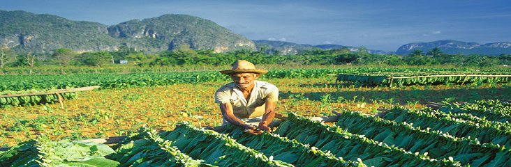 Discover Headwater's Walking holiday in Cuba.