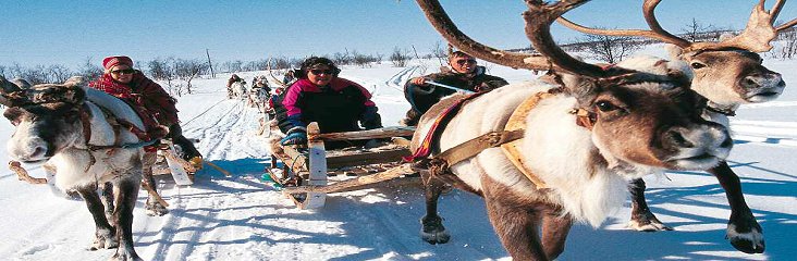 Discover Headwater's Walking in Reindeer Country.