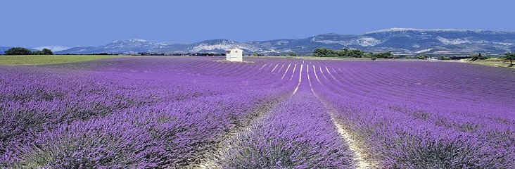Beautiful undiscovered destinations, perfect for exploring on foot, by bike, or in a canoe.