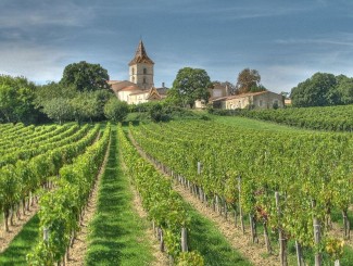 French wine regions.Bordeaux.2 Classic French countryside criss crossed with vineyards...