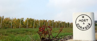 French wine regions Champagne Home of the more expensive 'bubbly'