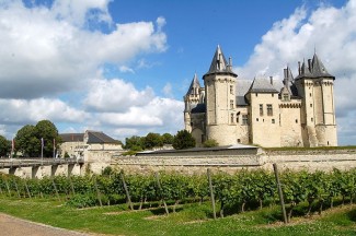French wine regions Loire 6 Charming Chateux and Lovely Wine in the Loire
