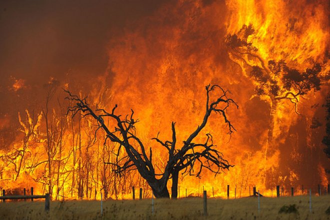 aussie-fire1 Photo: Sandy Austin Whanau/flickr