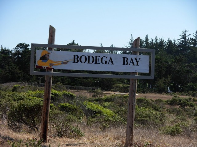 coast road south to bodega bay california