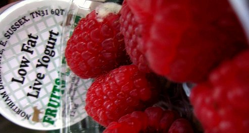 yog-rasp Photo: kirandulo/Flickr