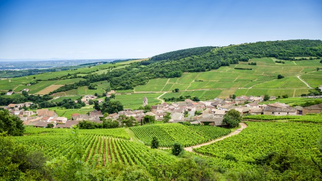 A Wine Lover’s Journey through Burgundy