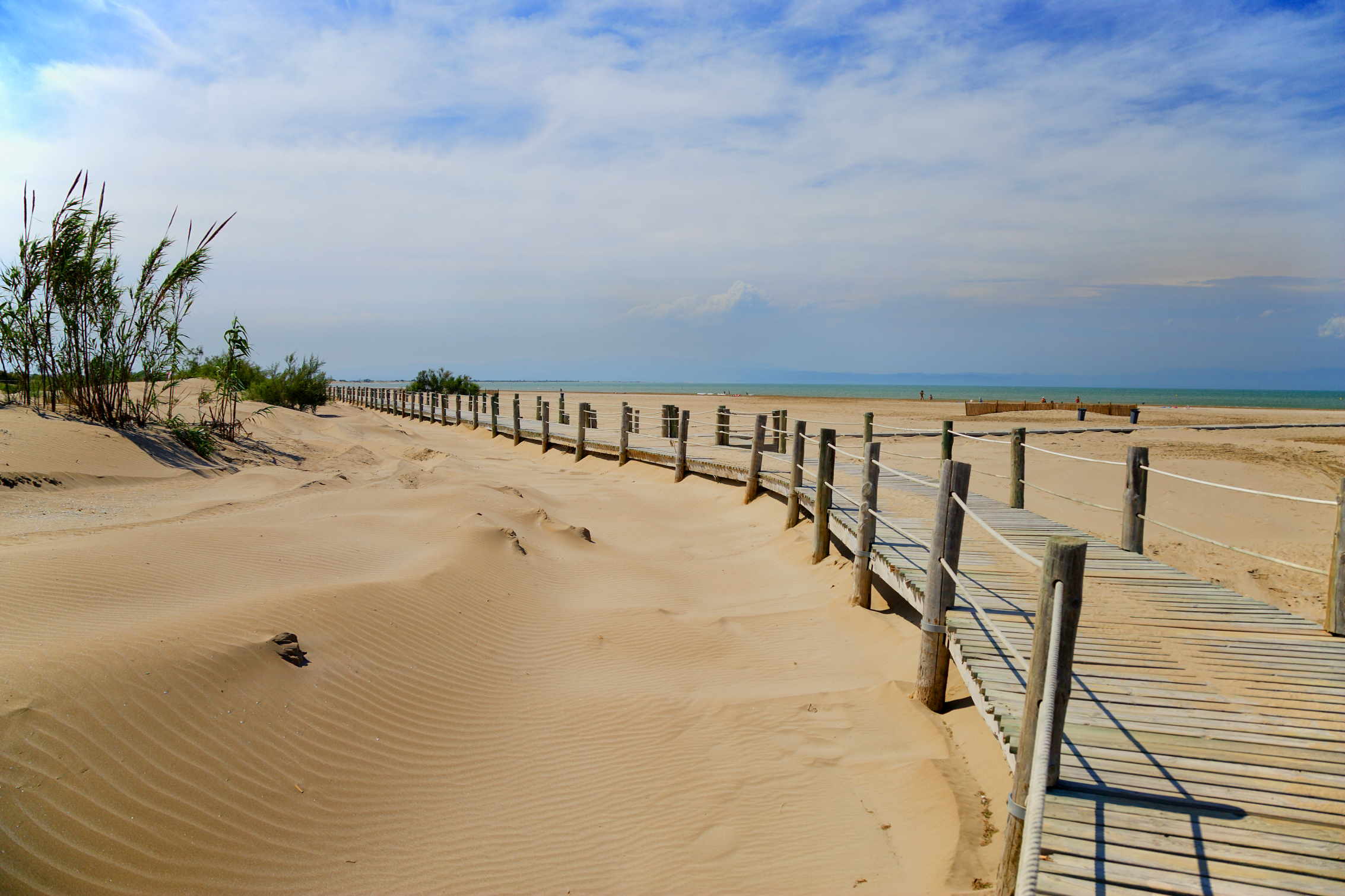 Пляж Дельта море