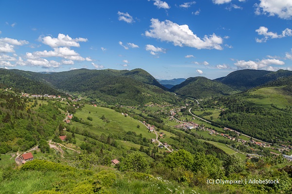 paysage des Vosges