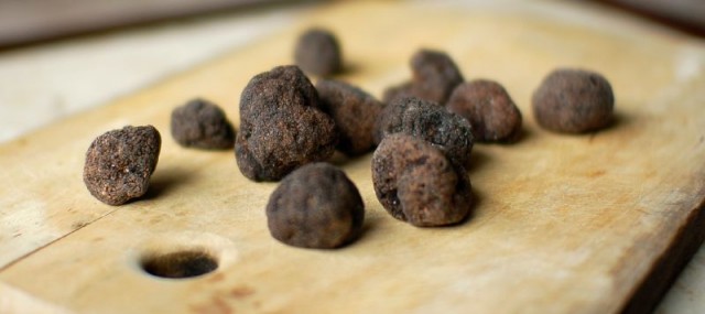 Black Truffles 1