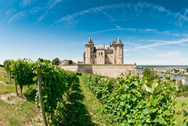 Chateau Saumur