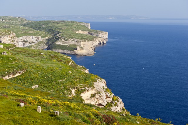 Gloriously green coastline of Gozo, Malta's little sister island!