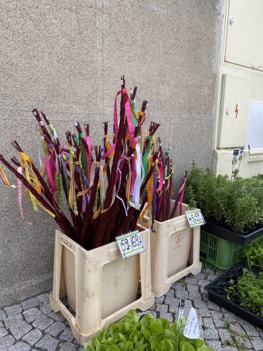 Willow stick s braided together with colourful ribbons on them. Easter Traditions in Czechia - Pomlázka whips. Bohemian Paradise.