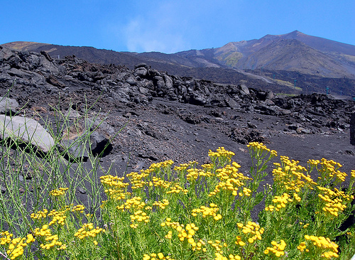 View of Mt Etna on Sicily's eastern coast