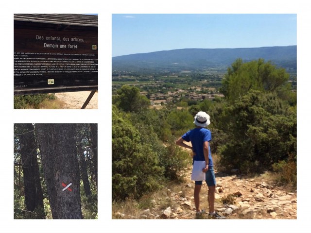 Walking in Provence