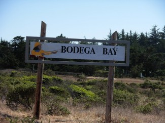 coast road south to bodega bay california