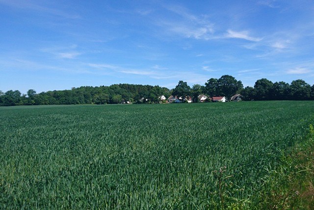 Countryside view, Oslo