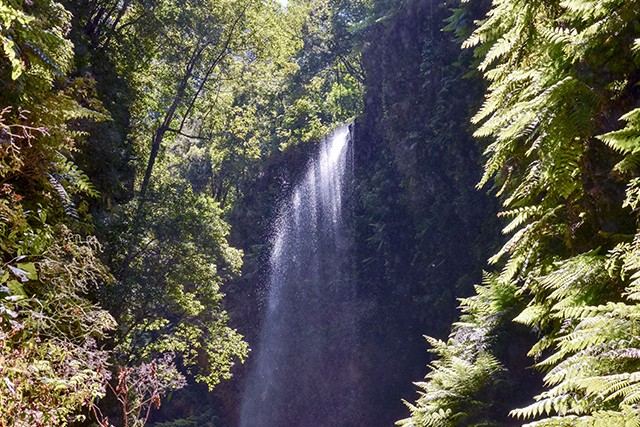 The beautiful island of La Palma in the Canaries is a UNESCO Biosphere Reserve, and on our guided Walking on La Palma holiday we’ll head, on Day 3, to the huge shimmering laurisilva rainforests of Cubo de la Galga – walking underneath a pretty waterfall.