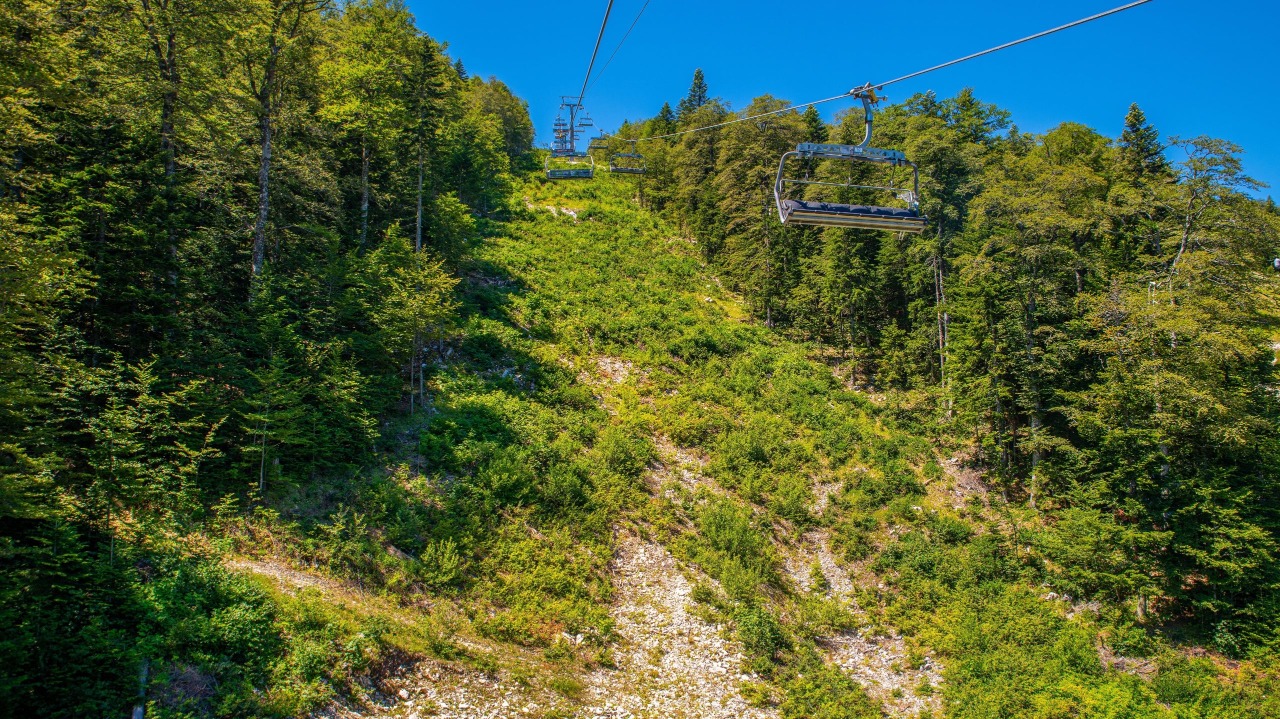 Mount Igman’s Quiet Beauty and Olympic Past 