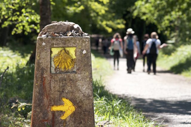 Pilgrimage waymarker showing the yellow scallop shell symbol and arrow on a stone post beside a tree-lined walking route.