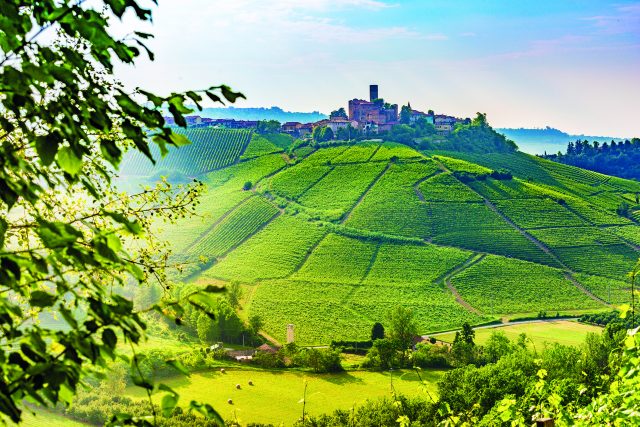 Langhe, Piedemont, Italy