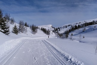 Cross-country skiing, Venabu, Norway