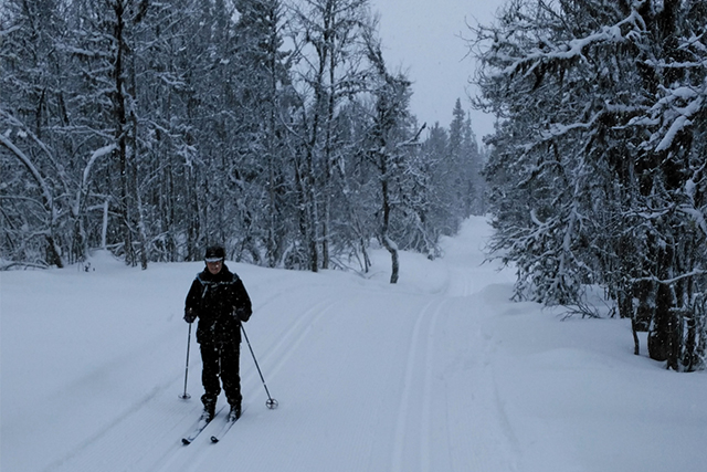 Cross-country skiing, Venabu