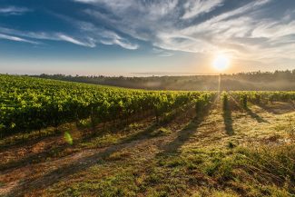 Tuscany's landscapes