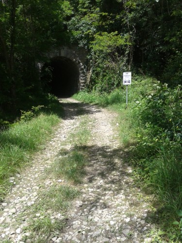 walk tunnel